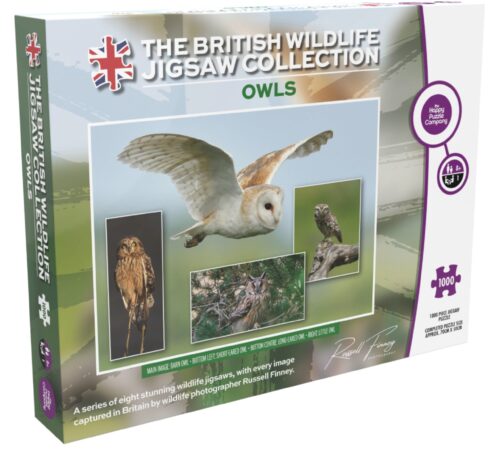 BRITISH WILDLIFE SERIES OWL MONTAGE 1000 PIECE